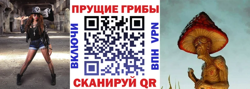 Псилоцибиновые грибы Psilocybe  где найти   Суздаль 